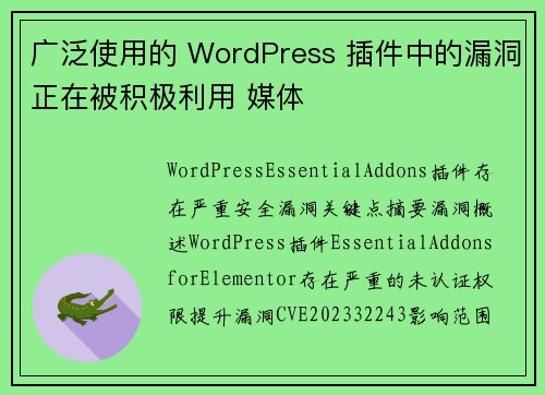 广泛使用的 WordPress 插件中的漏洞正在被积极利用 媒体 广泛使用的 WordPress 插件中的漏洞正在被积极利用 媒体