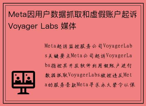 Meta因用户数据抓取和虚假账户起诉Voyager Labs 媒体