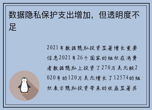 数据隐私保护支出增加,但透明度不足  数据隐私保护支出增加,但透明度不足