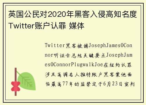 英国公民对2020年黑客入侵高知名度Twitter账户认罪 媒体